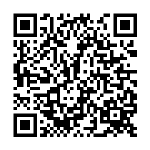 如今又见到河伯居内的所有宝物也被他一个人所得二维码生成