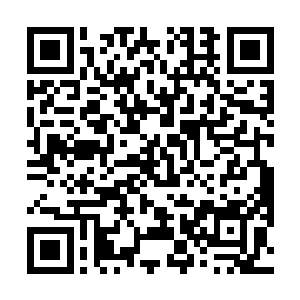 如今只剩下元神以及身前那磅礴的生机所化的生命神树二维码生成