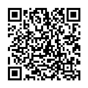 如今只怕是全世界都已经知道了华夏民国的蒋百里了二维码生成
