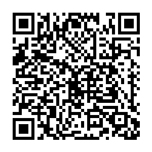如今只有来自贵宾包间的一些来自主神级势力的人依然在激烈的争夺二维码生成