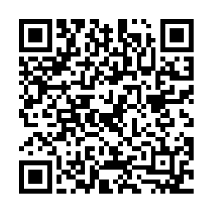 如今可不仅仅是只有洋人的八国联军在京畿一带肆虐啊二维码生成