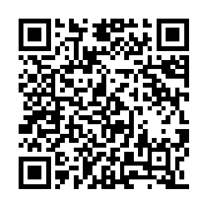 如今在夏云杰的眼中弱小得跟凡人没有多大区别二维码生成