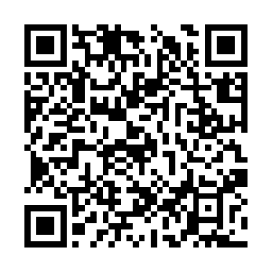 如今在实力上确实已经超出了天丹商行和天器商行二维码生成