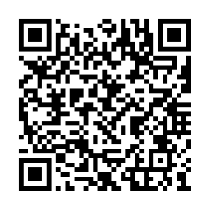 如今在黑岩岛上的修士已经换成了仙王期的争斗二维码生成