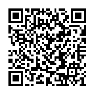 如今地下世界的入口都已经重新被人类修士把手二维码生成