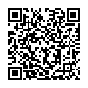 如今大楚的情形虽然没有亲眼所见却也还是能猜到几分二维码生成