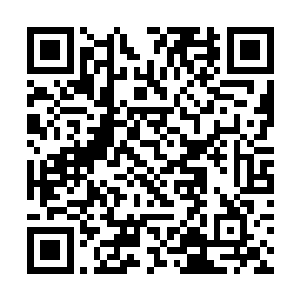 如今她们的父母亲肯定以为沈丽缇和杜海琼已经死了二维码生成