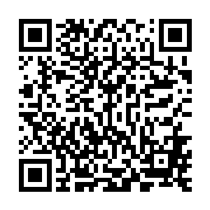 如今她只是将金木水火土光暗风雷九种属性融合到了中成境界二维码生成