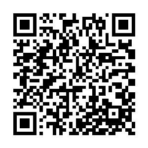 如今宫主领悟无懈可击之极致和天衣无缝之极致二维码生成