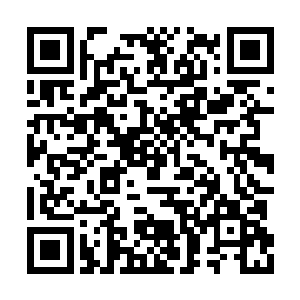 如今居然出现一个能够轻松击败护法巨人的存在二维码生成