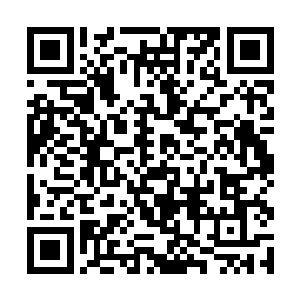 如今已经是少女的伊莎贝尔拥有非常恐怖的刺杀能力二维码生成