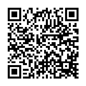 如今已经有六大家族将家族少年精英弟子送进了太虚宗二维码生成