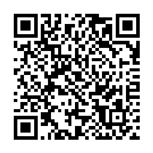 如今已经被逼退到被兽人族称为兽神山一带的深山中二维码生成