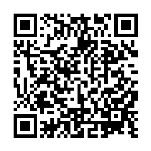 如今徐州上上下下几乎都以为是我派刺客前往刺杀陶公二维码生成