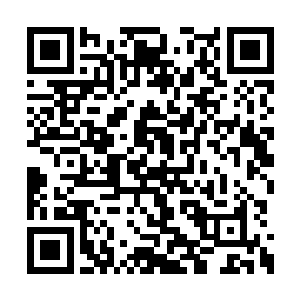 如今总算是能跟宫里的云妃娘娘好好的交个差了二维码生成