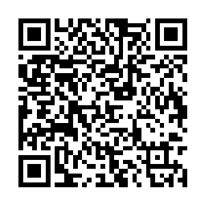 如今我们要解决的是太虚宗向百族开山门的事情啊二维码生成
