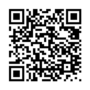 如今我已经是涅槃九重天巅峰的修为二维码生成