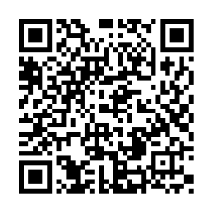 如今整个东安郡已经完全由我们天元家族说了算二维码生成