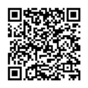 如今整个仙界的圣级大修士加起来只剩下了九十八个二维码生成