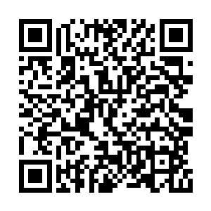 如今整个夜来香日净利润是……四万五千元左右二维码生成