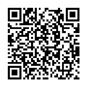 如今曹家统领亲自率领禁卫军前来青云盟擒拿叶莫二维码生成