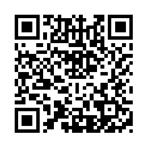 如今有着十一家势力愿意投入到许家二维码生成