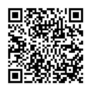 如今柳清寒给出的这一百亿极品灵石・除去青炎的八十亿价值二维码生成