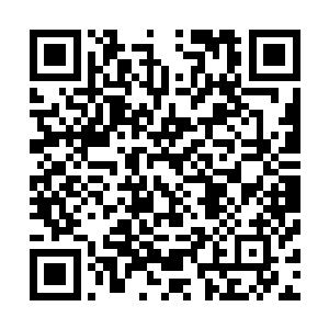如今正坐在这个偏僻海滩上谈论文学的是一对文艺派小青年二维码生成
