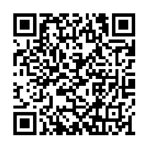 如今正有大量的百姓与自军兵马在城西一带对峙二维码生成