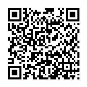 如今没有人那个妖族狩猎者再敢打劫我们丹行商行二维码生成