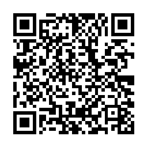 如今海皇陛下正是先皇儒艮东扬的孙子儒艮圣浩陛下二维码生成