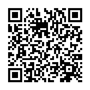 如今烛龙殿的徐凌和圣雪神教的王岩海都已经向妖帝臣服二维码生成