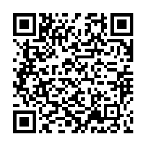 如今生命神系中肯定就会多上一位让人无法忽视的神祗二维码生成