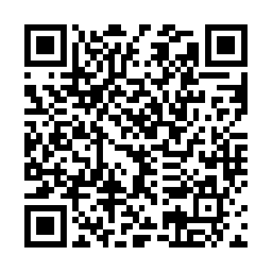 如今的一窝蜂和仙国官方勾结在一块已经不是什么秘密二维码生成