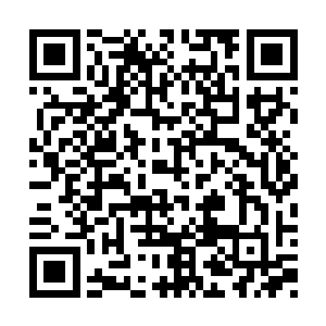 如今的不觉很厉害……只要系统不限制他的能力二维码生成