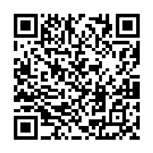 如今的东城区和北城区已经被林昊和阎王的人占领二维码生成