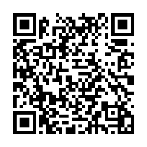 如今的云达不莱梅和拜仁慕尼黑有着本质上的差距二维码生成
