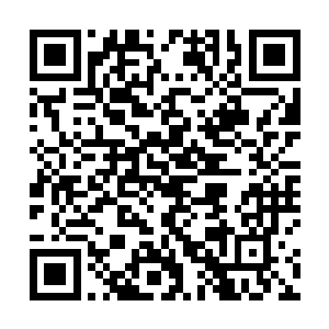 如今的烈焰佣兵团早已发展成一个内部成员足有数百万二维码生成