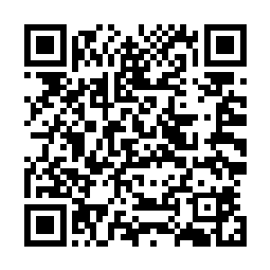 如今的许紫烟却不需要百年的时光来修补自己的阴阳失衡了二维码生成