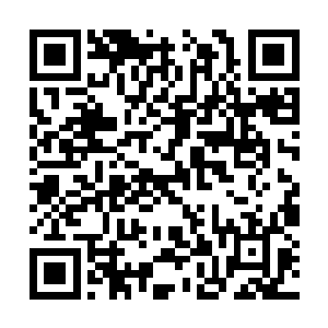 如今看到赫连雪衣将雪域的部分力量融入剑法之中二维码生成