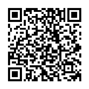 如今看来这紫府中的仙气却还远不如以前的紫府元神来得实用二维码生成