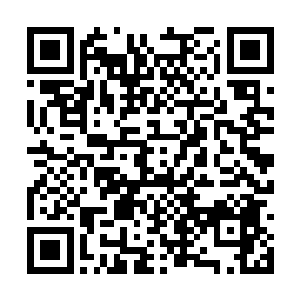 如今看来这蓝鳞族之间的矛盾似乎没那么容易化解二维码生成