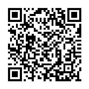 如今眼前看到的状况并未超过孟奇的预料和准备二维码生成