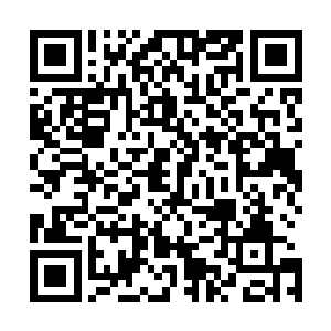 如今知道您就是我们家族的王者我们怎么会再做出此等事情二维码生成