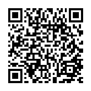 如今石浩天居然给高剑虎用了兽血狂化这么危险的方式加强力量二维码生成