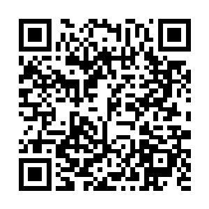 如今竟然还杀光了北境王室除了任琦宁以外的所有人二维码生成