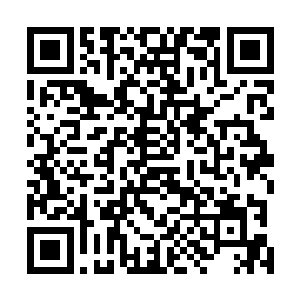如今纳兰夜要娶我为正妃的消息定然已经传到了她的耳中二维码生成