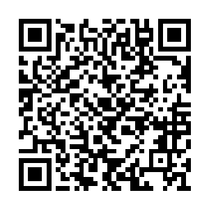 如今网络上对于这部剧的反馈已经达到了现象级二维码生成