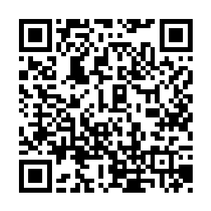 如今肚子里的一个小家伙很容易就自己钻出来了二维码生成