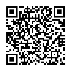 如今能做的就是踏踏实实的将咱们这一亩三分地经营好了二维码生成